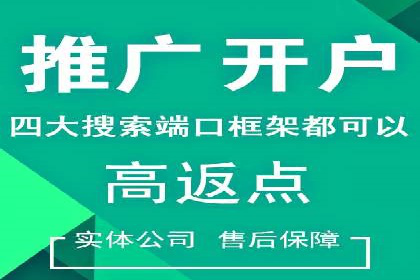 某企业通过SEO和SEM双管齐下实现业绩飞跃的案例